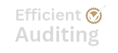 efficient auditing
